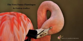 The Very Fancy Flamingos