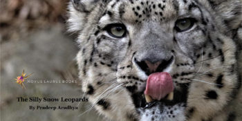 The Silly Snow Leopards