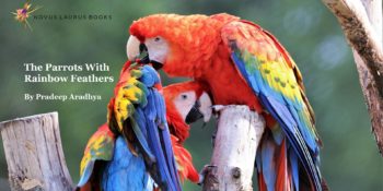 The Parrots with Rainbow Feathers