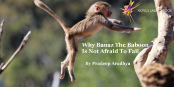 Why Banaz The Baboon Is Not Afraid To Fail
